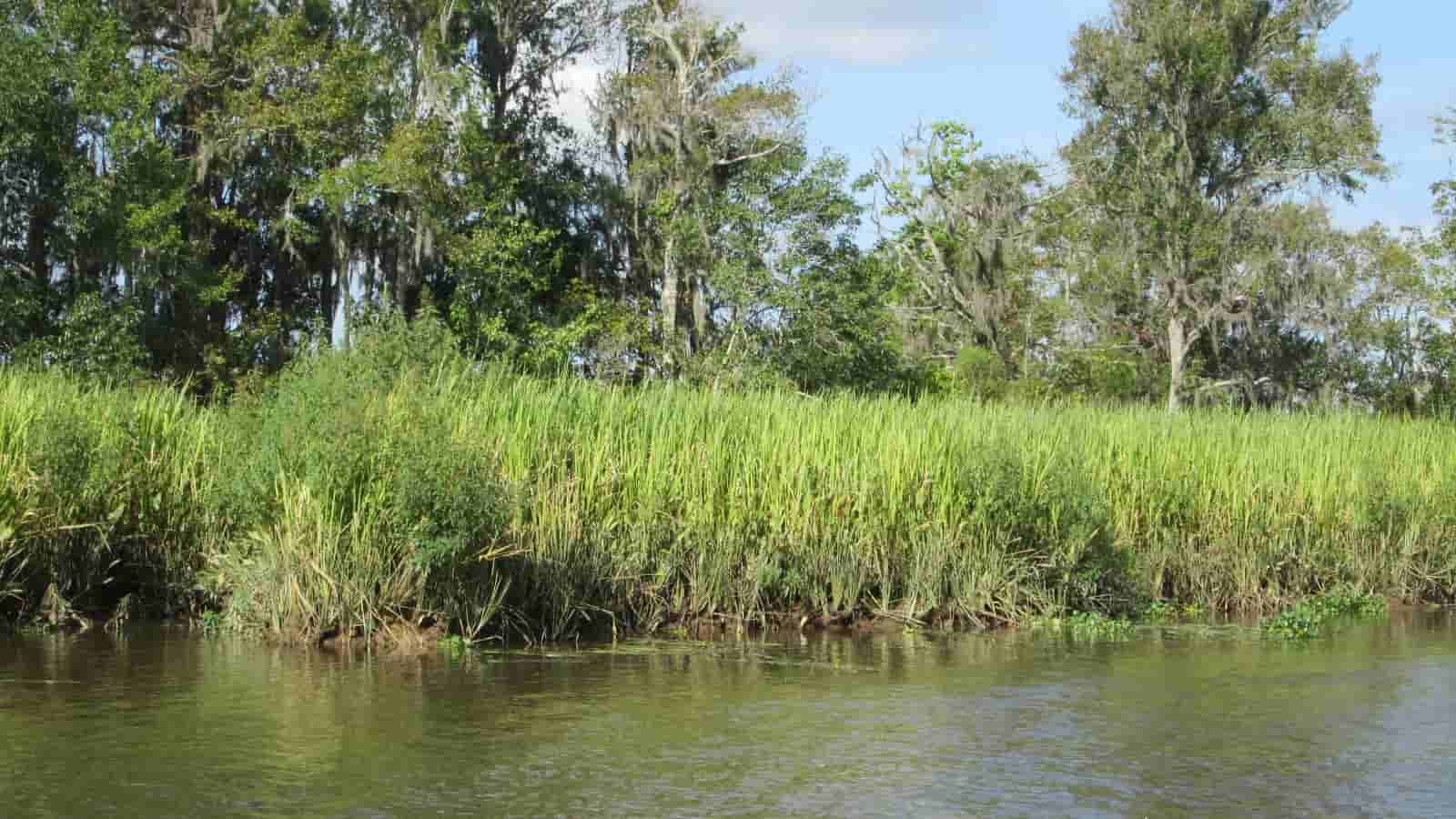 Intercoastal waterway-min.JPG